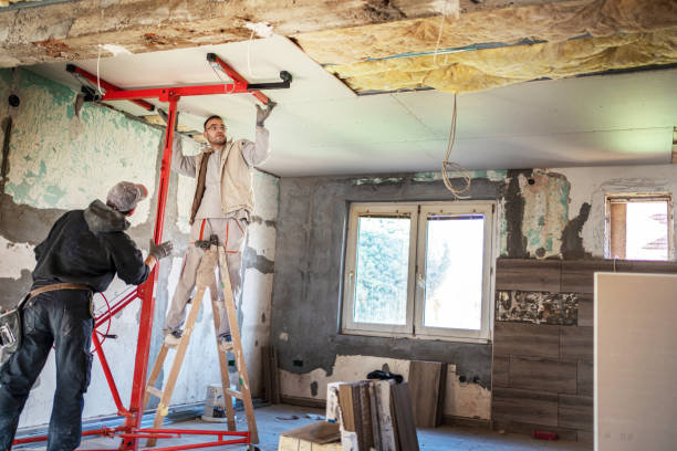 Best Insulation Maintenance and Repair in Hillsville, VA